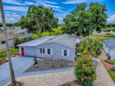 25007 BELLEVUE, LEESBURG, Флорида 34748, Соединенные Штаты
