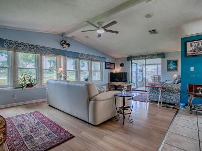 25007 BELLEVUE, LEESBURG, Флорида 34748, Соединенные Штаты