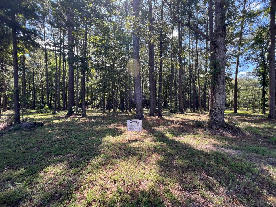 Ponderosa Lane and Chickamauga Drive Lot 1 Unit 10A Rebel Acres, Zwolle, لويزيانا 71486, الولايات المتحدة