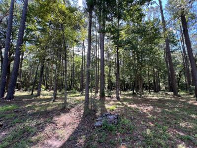 Ponderosa Lane and Chickamauga Drive Lot 1 Unit 10A Rebel Acres, Zwolle, لويزيانا 71486, الولايات المتحدة