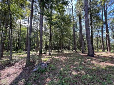 Ponderosa Lane and Chickamauga Drive Lot 1 Unit 10A Rebel Acres, Zwolle, لويزيانا 71486, الولايات المتحدة