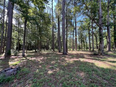 Ponderosa Lane and Chickamauga Drive Lot 1 Unit 10A Rebel Acres, Zwolle, لويزيانا 71486, الولايات المتحدة