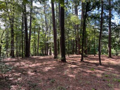 Chickamauga Drive and McHan Drive Lot 4 Unit 10A Rebel Acres, Zwolle, Louisiana 71486, Stati Uniti