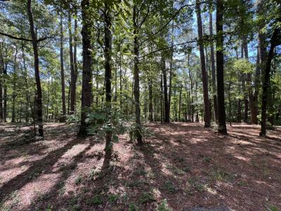 Chickamauga Drive and McHan Drive Lot 4 Unit 10A Rebel Acres, Zwolle, Louisiana 71486, Stati Uniti