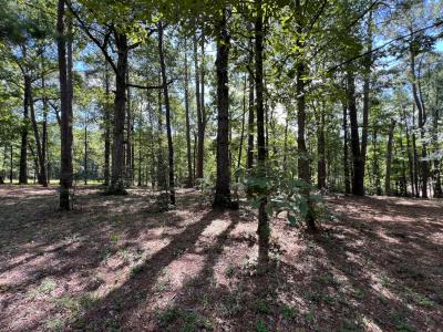 Chickamauga Drive and McHan Drive Lot 4 Unit 10A Rebel Acres, Zwolle, Louisiana 71486, Stati Uniti