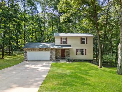 12095 DuBois , Canadian Lakes, Michigan 49346, USA