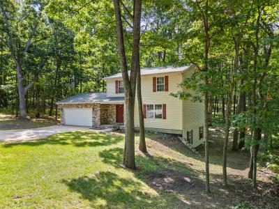 12095 DuBois , Canadian Lakes, Michigan 49346, Estados Unidos