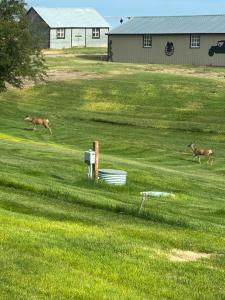 8375 US Highway 89, Great Falls, Montana 59405
