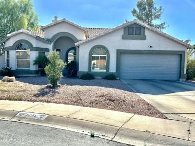 1755 W Aspen Ave, Gilbert, Arizona 85233, USA