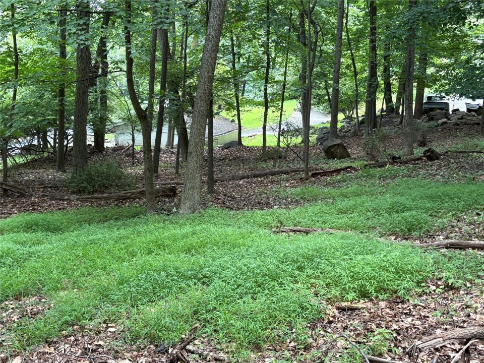36 Clausland Mountain Road, Blauvelt, New York 10913, États-Unis