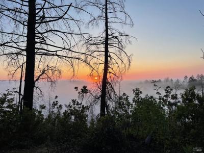 3880 Spring Mountain Rd, St. Helena, カリフォルニア 94574, アメリカ合衆国