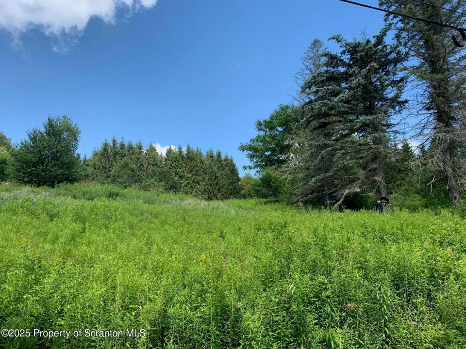 1855 Ararat Road Road, Thompson, פנסילבניה 18465, ארצות הברית של אמריקה 