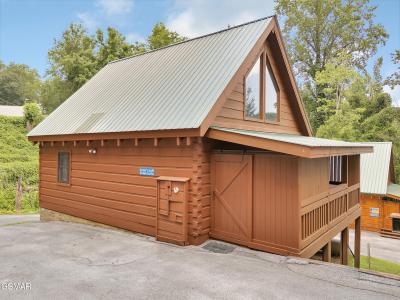 824 Eagle Cove Way, Gatlinburg, Tennessee 37738, USA