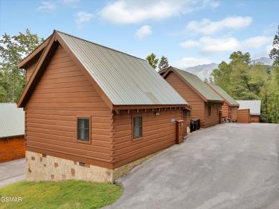 824 Eagle Cove Way, Gatlinburg, Теннесси 37738, Соединенные Штаты