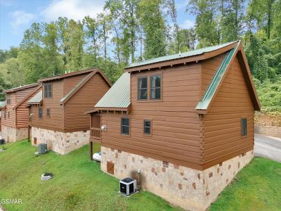 824 Eagle Cove Way, Gatlinburg, Теннесси 37738, Соединенные Штаты