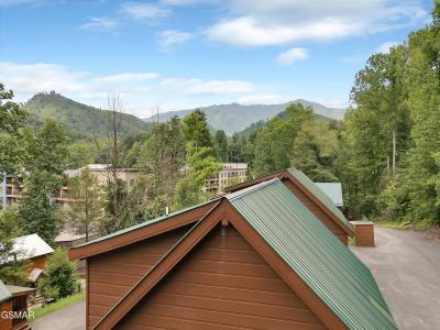 824 Eagle Cove Way, Gatlinburg, Теннесси 37738, Соединенные Штаты