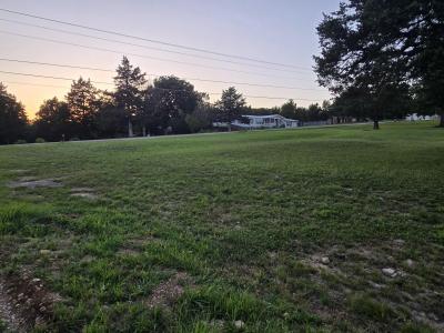 Tbd County Road 203, Wheatland, Missouri 65779