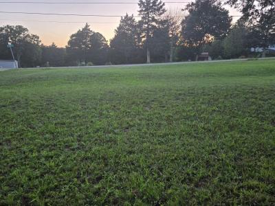 Tbd County Road 203, Wheatland, Missouri 65779