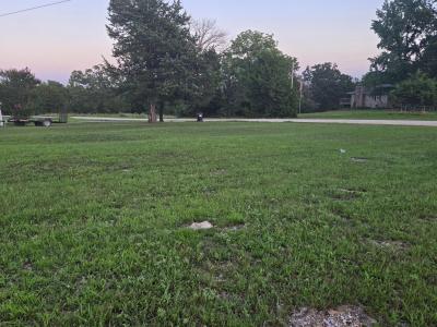 Tbd County Road 203, Wheatland, Missouri 65779