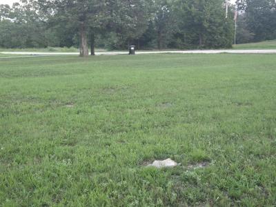 Tbd County Road 203, Wheatland, Missouri 65779