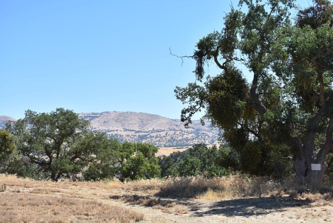 22948 Rim Way APN 289-220-13, Tehachapi, Californie 93561, États-Unis
