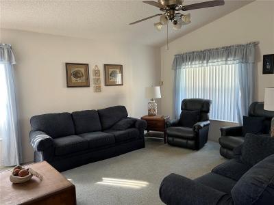 25331 HIBISCUS STREET, LEESBURG, 플로리다 34748, 미국