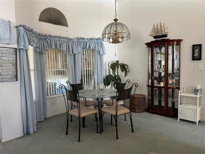 25331 HIBISCUS STREET, LEESBURG, Florida 34748, USA