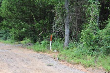 TBD Loop 456 - 14.73 acres, Jacksonville, Texas 75766, USA