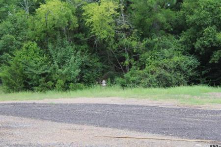 TBD Loop 456 - 14.73 acres, Jacksonville, Texas 75766, Estados Unidos