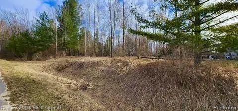 187 Greensboro Way, Butman Township, Michigan 48624, USA