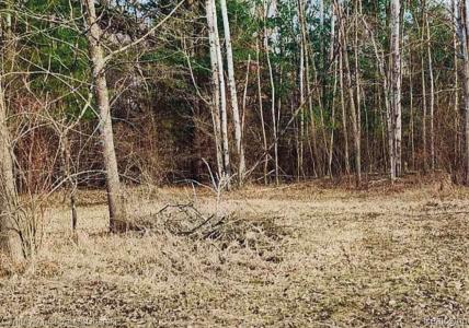 187 Greensboro Way, Butman Township, ミシガン 48624, アメリカ合衆国