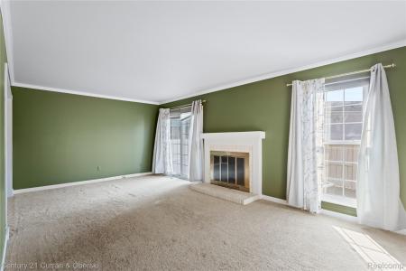 20918 W Glen Haven Circle, Northville, 密歇根州 48167, 美国