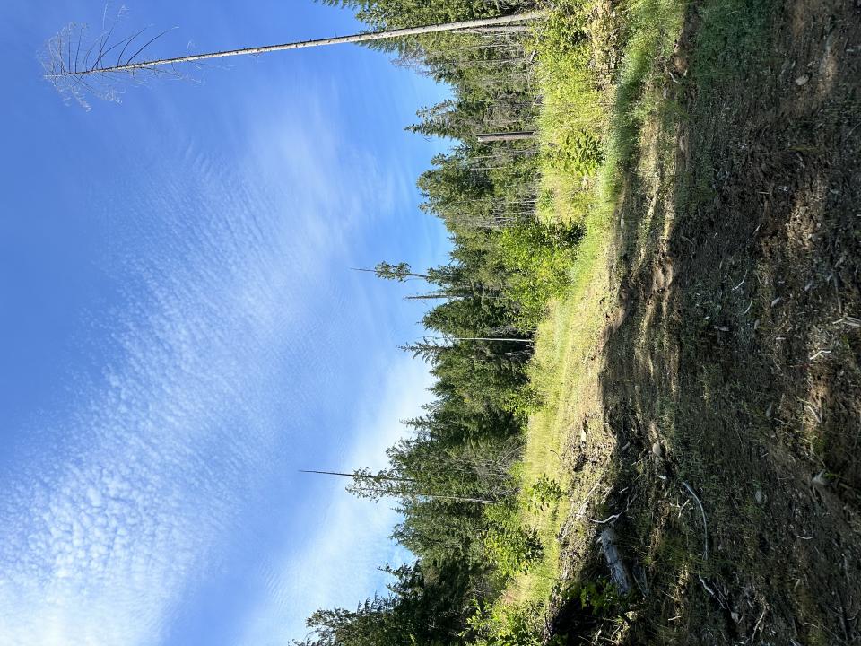 NKA Wellington Rd, Sandpoint, Idaho 83864, HOA KỲ