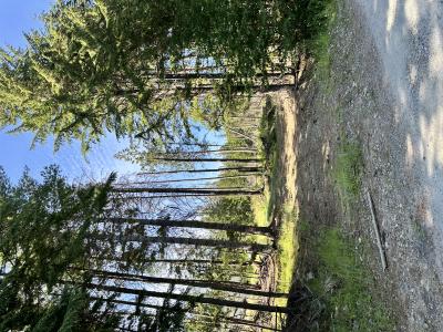 NKA Wellington Rd, Sandpoint, Idaho 83864, HOA KỲ