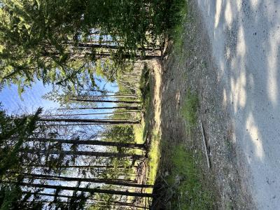 NKA Wellington Rd, Sandpoint, Idaho 83864, HOA KỲ