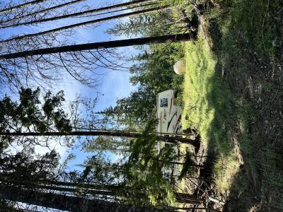 NKA Wellington Rd, Sandpoint, Idaho 83864, HOA KỲ