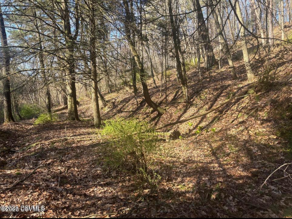 Mellick Hollow Road, Bloomsburg, Pennsylvania 17815, Estados Unidos