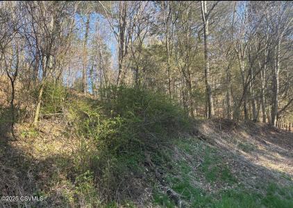 Mellick Hollow Road, Bloomsburg, Pennsylvania 17815, Estados Unidos