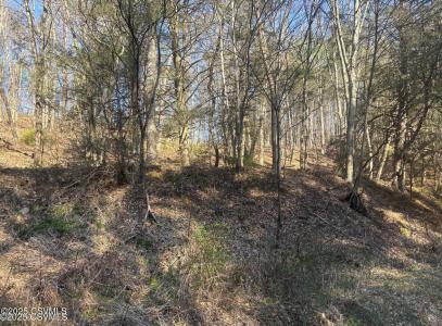Mellick Hollow Road, Bloomsburg, Pennsylvania 17815, USA