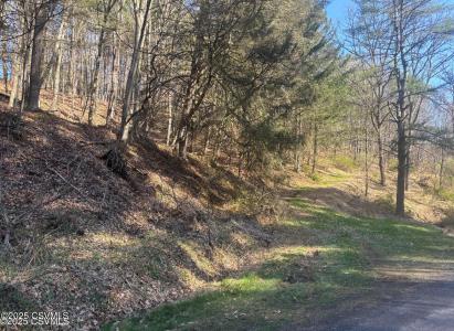 Mellick Hollow Road, Bloomsburg, Pennsylvania 17815, Estados Unidos