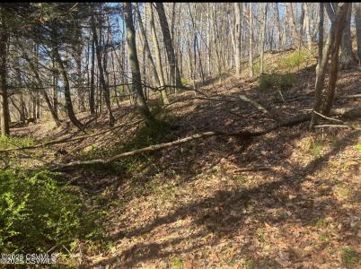 Mellick Hollow Road, Bloomsburg, Pennsylvania 17815, Estados Unidos