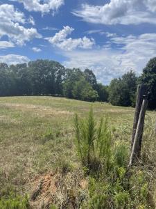 4891 S Main Street, Cowpens, 南卡罗来纳州 29330, 美国