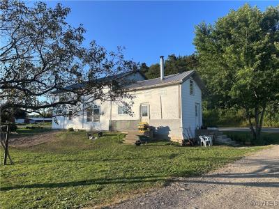 4588 Route 39, Pike, NY 14024, USA