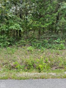 807 W W. Tri Lakes, Horseshoe Bend, Арканзас 72512, Соединенные Штаты