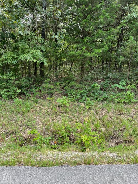 807 W W. Tri Lakes, Horseshoe Bend, Arkansas 72512, États-Unis