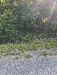 607 Regal Drive, Horseshoe Bend, Arkansas 72512