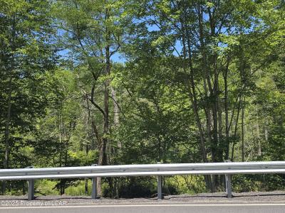 Second Street, Harveys Lake, Pennsylvania 18618, USA