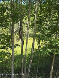 Second Street, Harveys Lake, 宾夕法尼亚州 18618, 美国