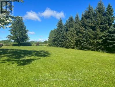156360 7TH LINE, Grey Highlands, Ontario N4L 1W6, Canadá