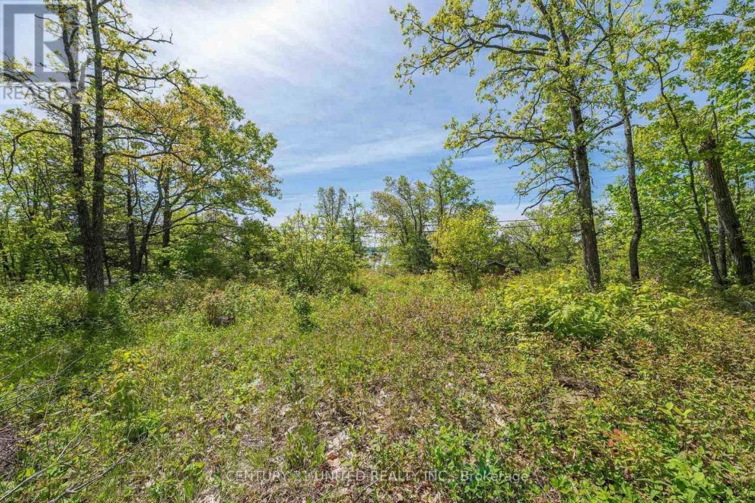 0 NORTHEYS BAY ROAD, North Kawartha, Ontario K0L 2H0, Kanada